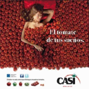 casi