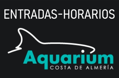 publicidad