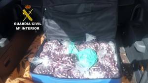 Detenido con 32 bolsas con un total de 3165 bellotas de hachís