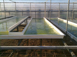 El proyecto EDARSOL se pone en marcha