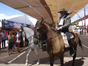 Quinta edición del concurso de caballos en la #FeriadeAlmeria