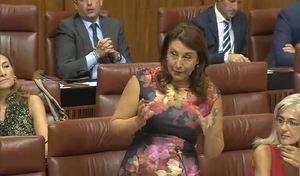 El PP pide a la Junta un Decreto de ayudas para los afectados por las inundaciones y el consejero dice que aún están evaluando daños