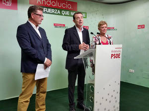 El PSOE lamenta “el daño de incalculables consecuencias” que supone para Almería que el PP haya rechazado sus enmiendas a los PGE