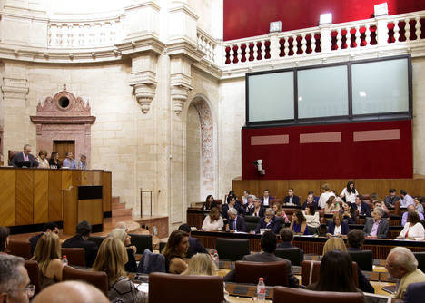 Bronca parlamentaria entre Arancha Martín y el consejero De Llera a cuenta de los refugiados