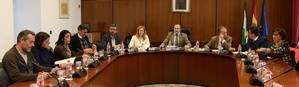 La mayoría de los expedientes que estudia ya la Comisión de Investigación de los Fondos de Formación son de Almería