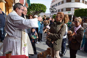 Gádor festeja San Antón con la bendición de mascotas en la Plaza de la Constitución