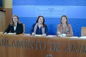 Carmen Crespo dice que las comparecencias de los interventores revelan"falta de control, irregularidades y falta de diligencia por parte de la Junta"