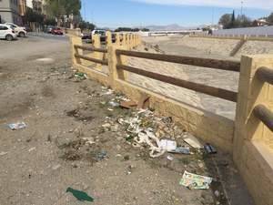 El PP exige la urgente limpieza de la maleza y matorrales de los muros de la rambla de Albox