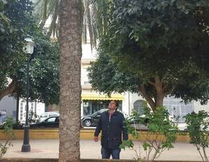 El Ayuntamiento de Níjar inicia tratamiento de palmeras en el municipio