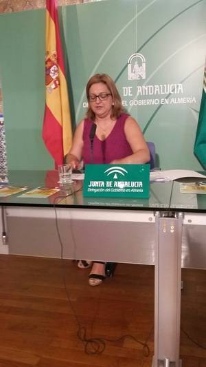 Aprobado el reglamento para el funcionamiento de las comisiones locales y provinciales de violencia de género