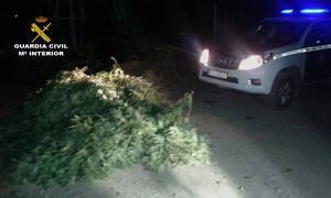 Detenido mientras regaba su plantación de marihuana en Laujar