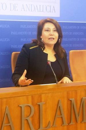 La Junta sólo ha ejecutado el 10% de su presupuesto en medio año