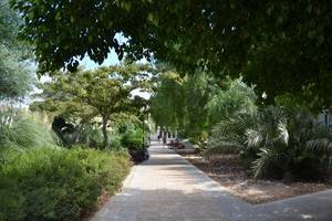 Un curso de la UAL dará a conocer las ventajas de la flora autóctona en jardinería