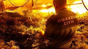 El aire acondicionado en una casa abandonada de Rioja desvela una plantación de marihuana indoor