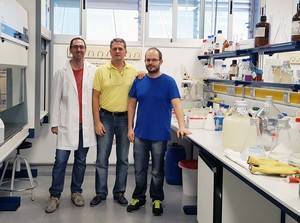 Producen microalgas con un nuevo sistema de iluminación artificial más eficiente