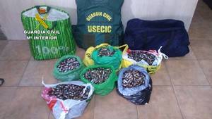 Les pillan con 28 kilos de hachís tras pincharles las ruedas en un control de la Guardia Civil