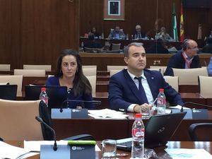 La paralización de las escuelas taller habrían supuesto una pérdida de 30 millones en Almería entre 2012 y 2015