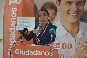 Bosquet atribuye a Ciudadanos las inversiones para Almería recogidas en los Presupuestos de la Junta