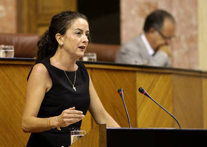 El PP exige a la Junta que atienda los requerimientos del Defensor del Pueblo sobre la atención temprana en Almería