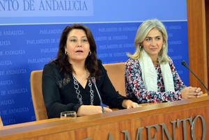 Crespo exige a Rivera que explique "por qué lo que sirve en el resto de España no sirve en Andalucía"