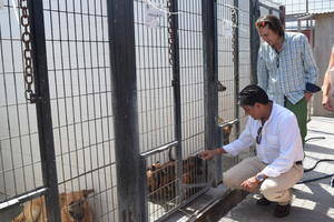 Ciudadanos condena la "atrocidad" sucedida en el centro zoosanitario y reclama obras urgentes para dotar de seguridad a sus animales