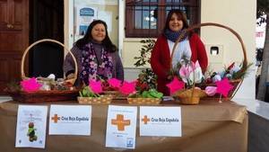 Cuatro centros Guadalinfo de Almería se unen para preparar un mercadillo navideño solidario
