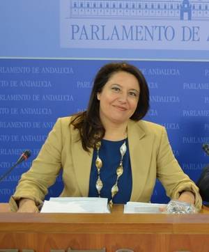El PP volverá a pedir a la Junta la limpieza del río Antas para evitar que se vuelvan a producir inundaciones