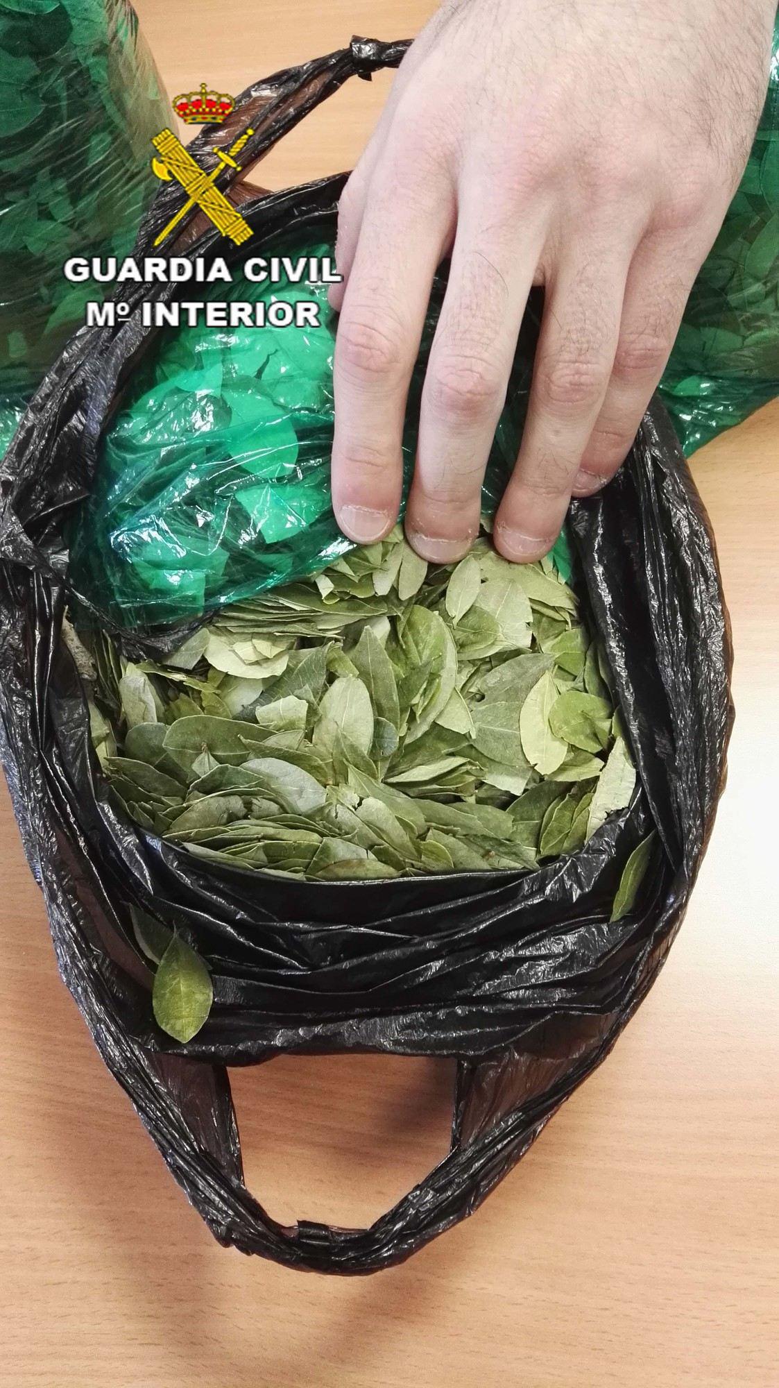 Intervenidos en el aeropuerto de Almería cerca de 800 gramos de hojas