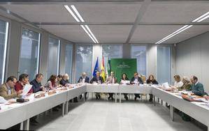Junta reformará el reglamento de vivienda protegida para reforzar su función social y evitar su venta a fondos buitre