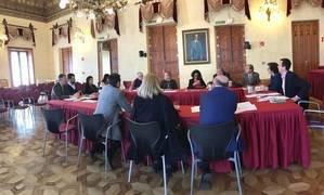 Junta y colegios profesionales abordan los principales asuntos sociosanitarios de la provincia de Almería