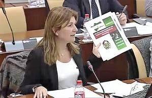 El PP pide a la Junta una Ley de Coordinación para los Cuerpos de Bomberos de Andalucía