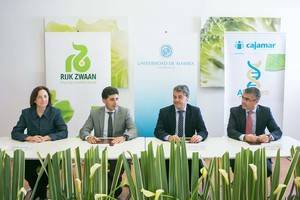 UAL, Cajamar y Rijk Zwaan suscriben un convenio para fomentar la investigación científica