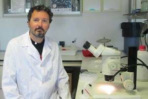 “¿Vivimos en un mundo dominado por bacterias?” cierra el II Ciclo de CIENCIAjazz el 20 de abril