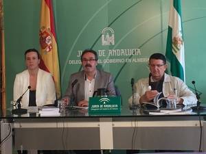 Talleres, visitas, cine, conferencias y cinco exposiciones temporales este mes en el Museo
