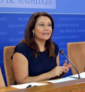 Crespo pide a la Junta que construya cuanto antes la Edar de La Alcazaba y Guainos Bajos en Adra