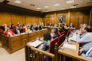 El Instituto de Estudios Almerienses se integrará en el área de Cultura de la Diputación