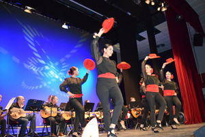 Centro Cultural de la Villa de Gádor acoge el II Festival de Folclore Flamenco y Rondalla