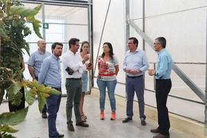 Manuel Andrés González pide al Consejero de Agricultura que ponga sobre la mesa soluciones a los problemas de la agricultura almeriense