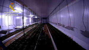 Desmantelada en Níjar la mayor plantación indoor de marihuana de los últimos años