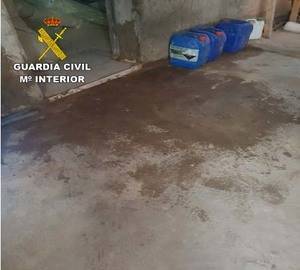 La titularidad de un invernadero acaba en secuestro y paliza de una persona en El Ejido