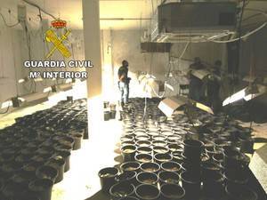 Extractores de aire funcionando en un bajo comercial sin actividad fueron la pista para detectar una plantación de marihuana
