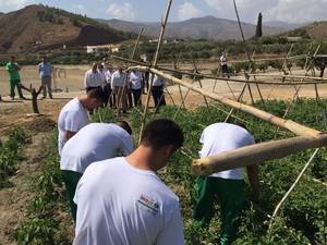 Menores que cumplen medidas judiciales en Purchena se forman en la agricultura