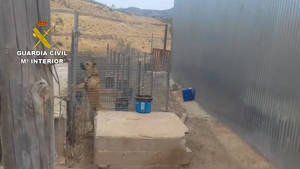 La Guardia Civil investiga al propietario de siete canes por un delito de maltrato animal