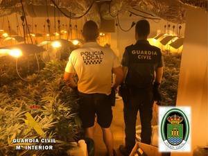 Descubren una plantación de droga en El Ejido investigando un robo