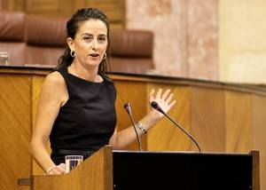 Partido Popular defiende en el Parlamento más bonificaciones para la escolarización de 0 a 3 años