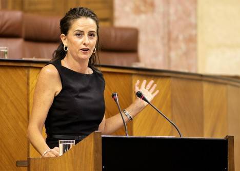 Partido Popular defiende en el Parlamento más bonificaciones para la escolarización de 0 a 3 años