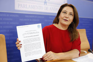 PPA pide el apoyo del Parlamento a las fuerzas de seguridad porque “la tibieza da oxígeno al separatismo”