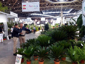 Almería lidera la exportación de flores en Andalucía