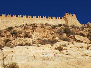 Pintadas de nuevo en la rocas de la Alcazaba