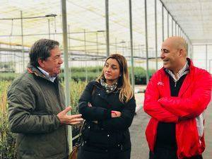 O&#769;leo Jarico presenta a Diputacio&#769;n y Ayuntamiento su ciclo integral del aceite de oliva virgen extra
